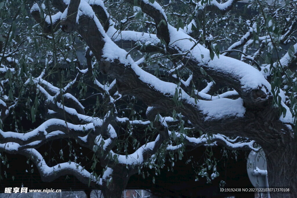 冬雪风景