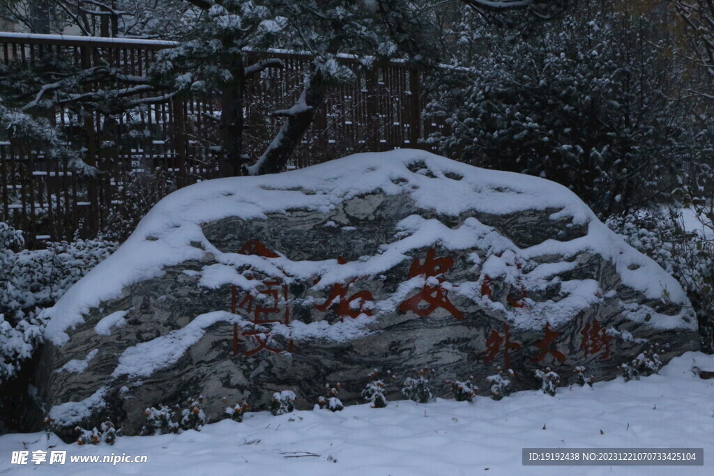 冬雪风景