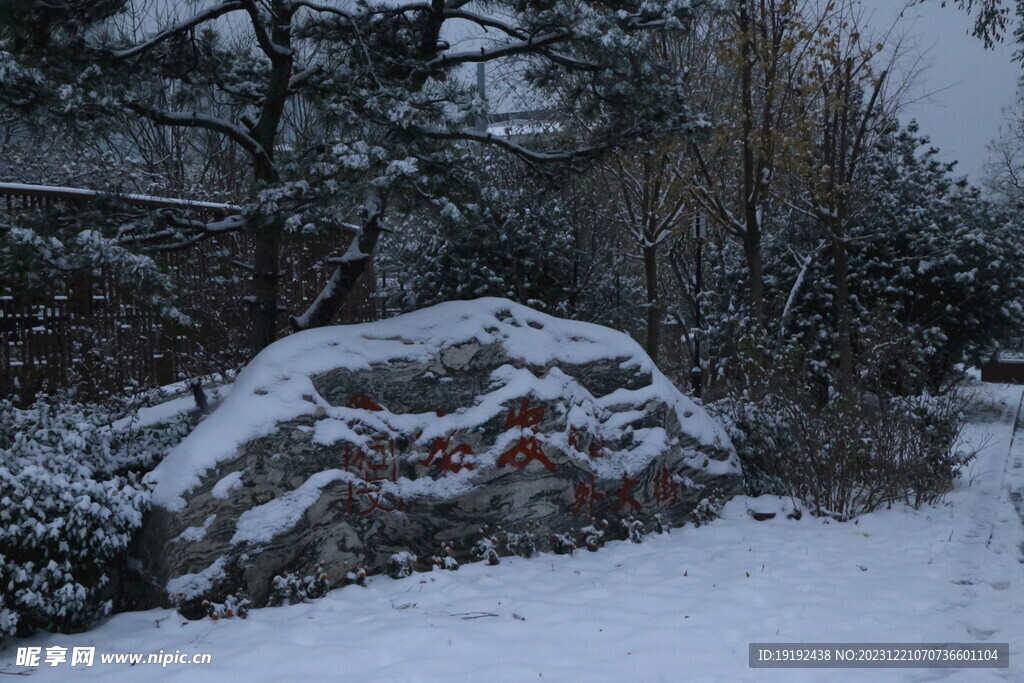 冬雪风景