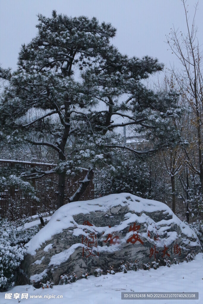 冬雪风景