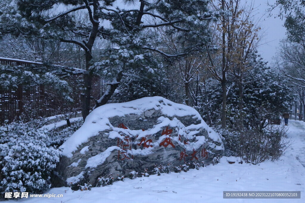 冬雪风景 