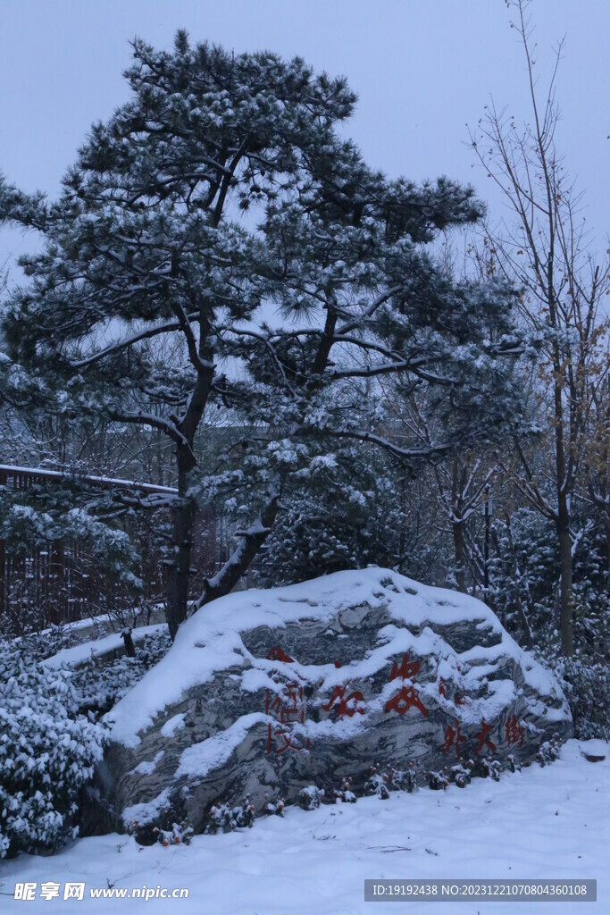 冬雪风景 