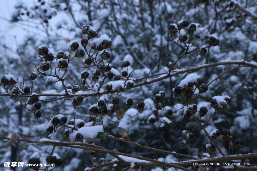 冬雪风景