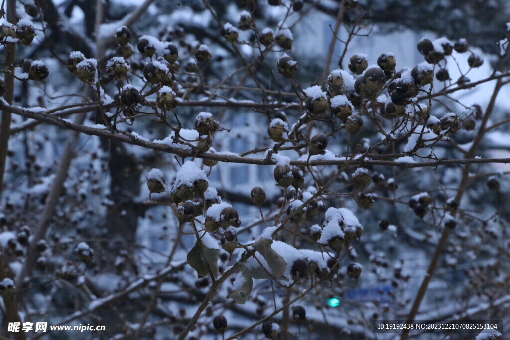 冬雪风景