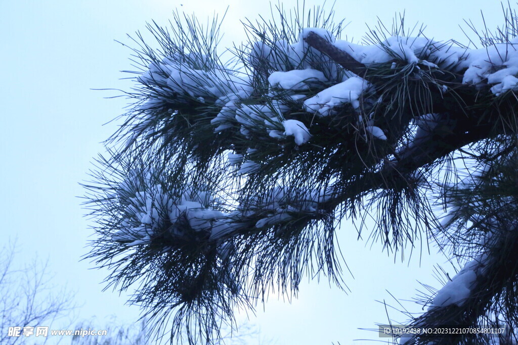 冬雪风景