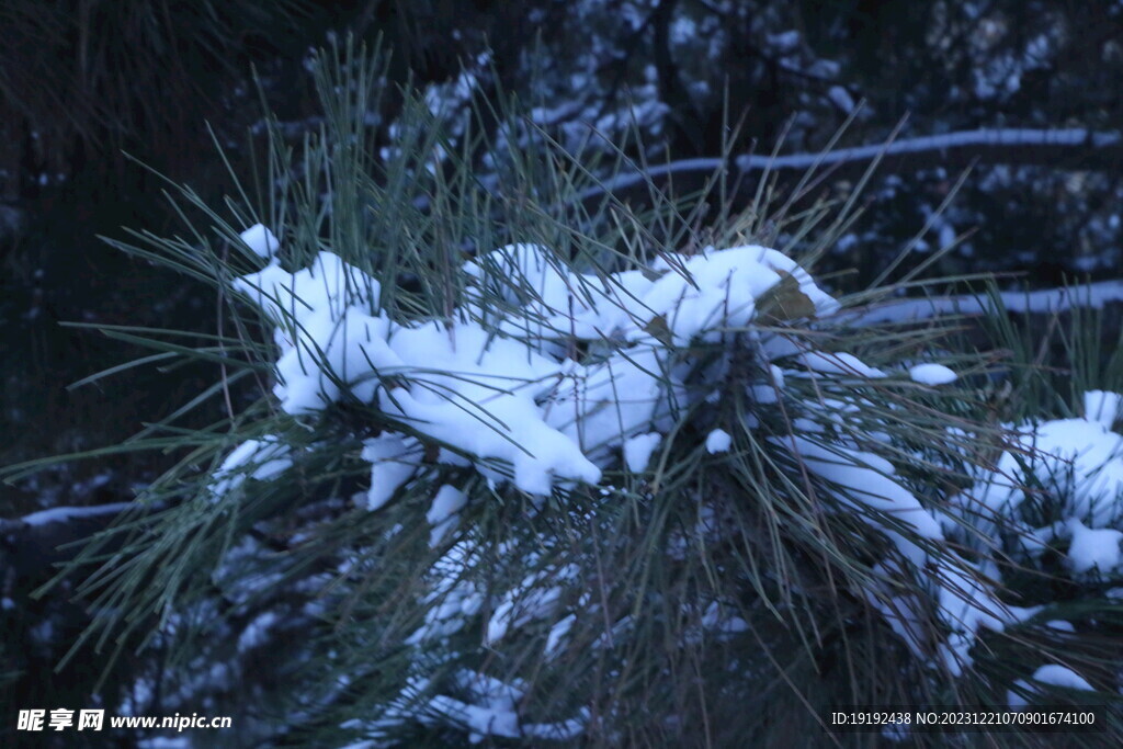 冬雪风景