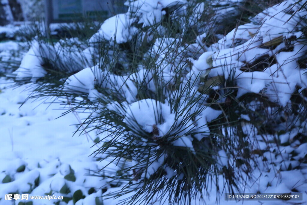 冬雪风景