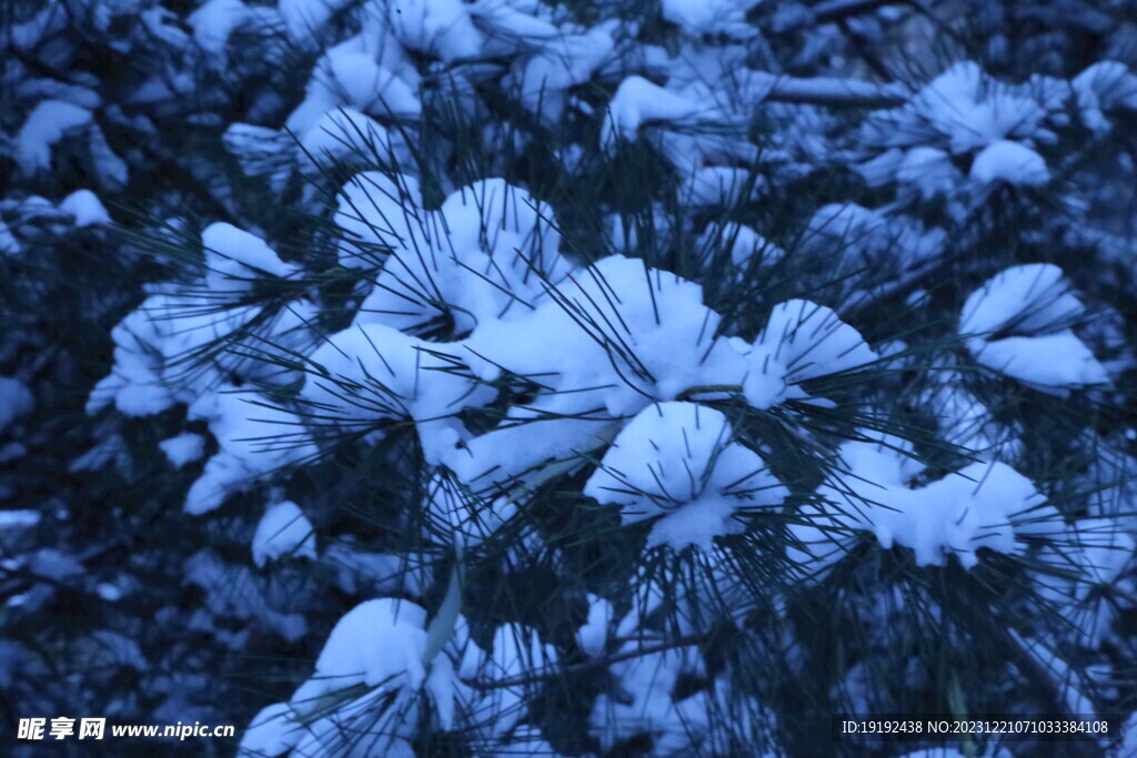 冬雪风景