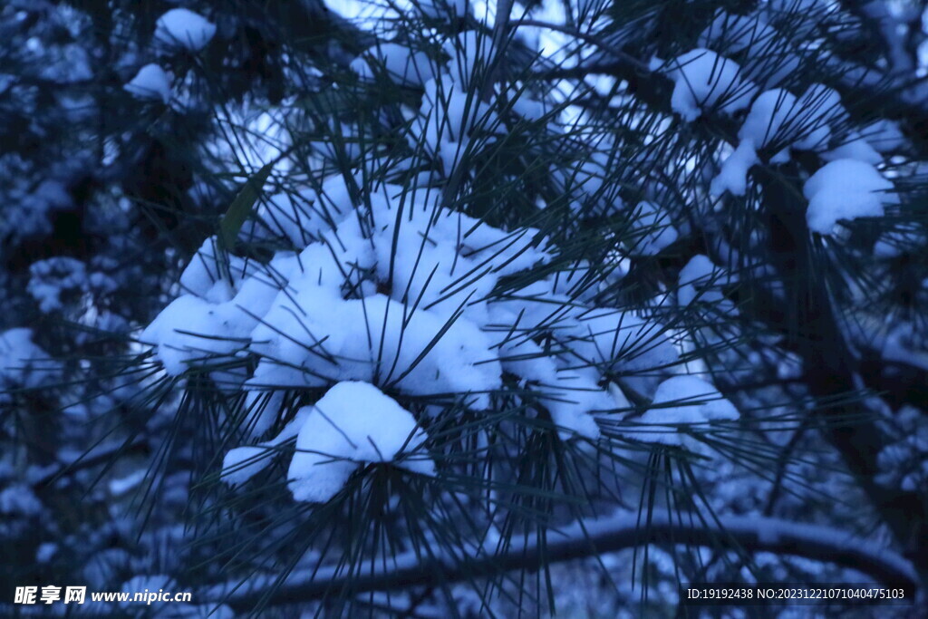 冬雪风景