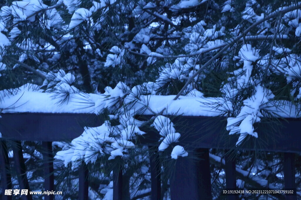 冬雪风景 