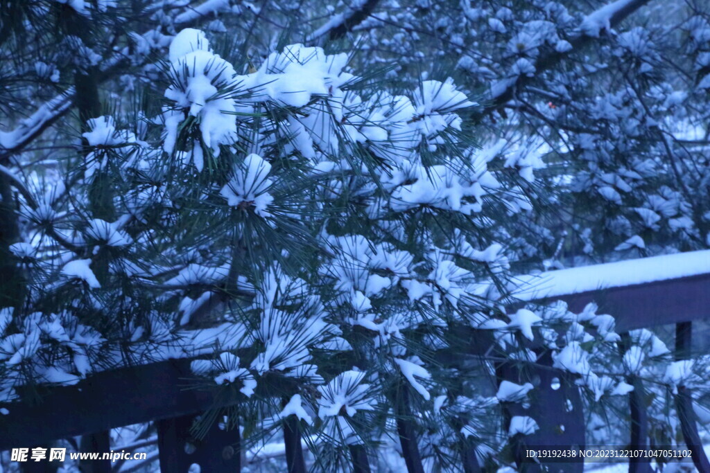 冬雪风景