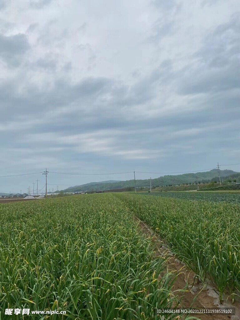 田地