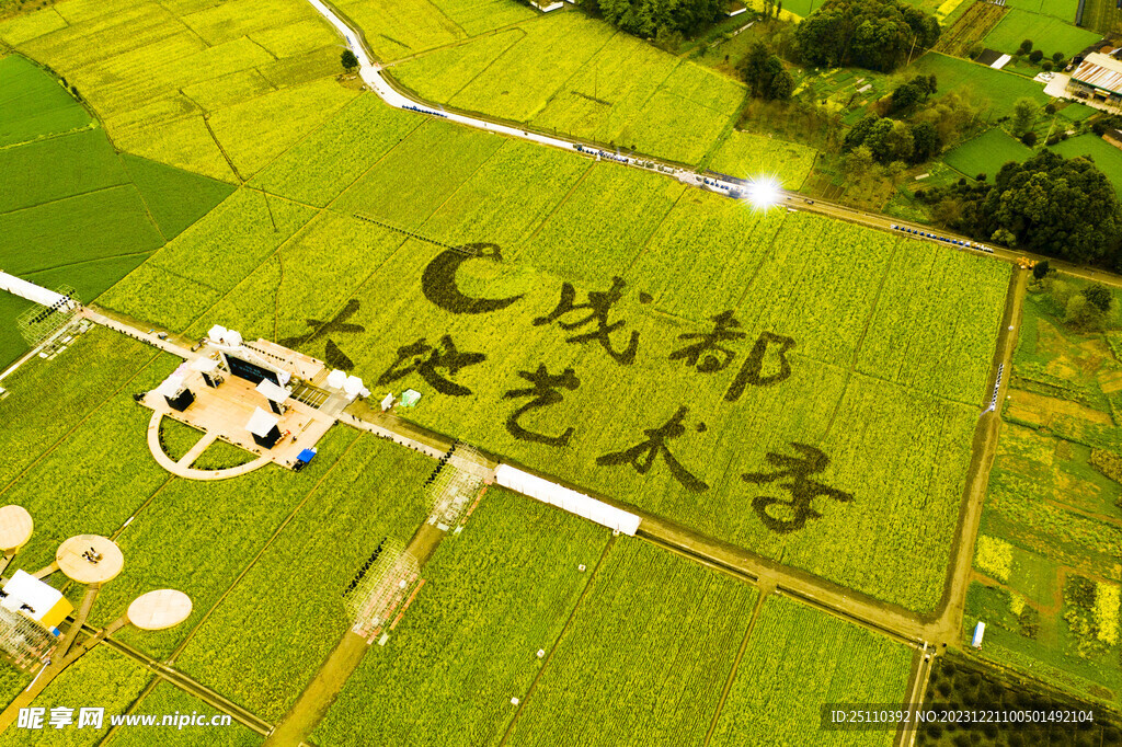 郫都区东林村