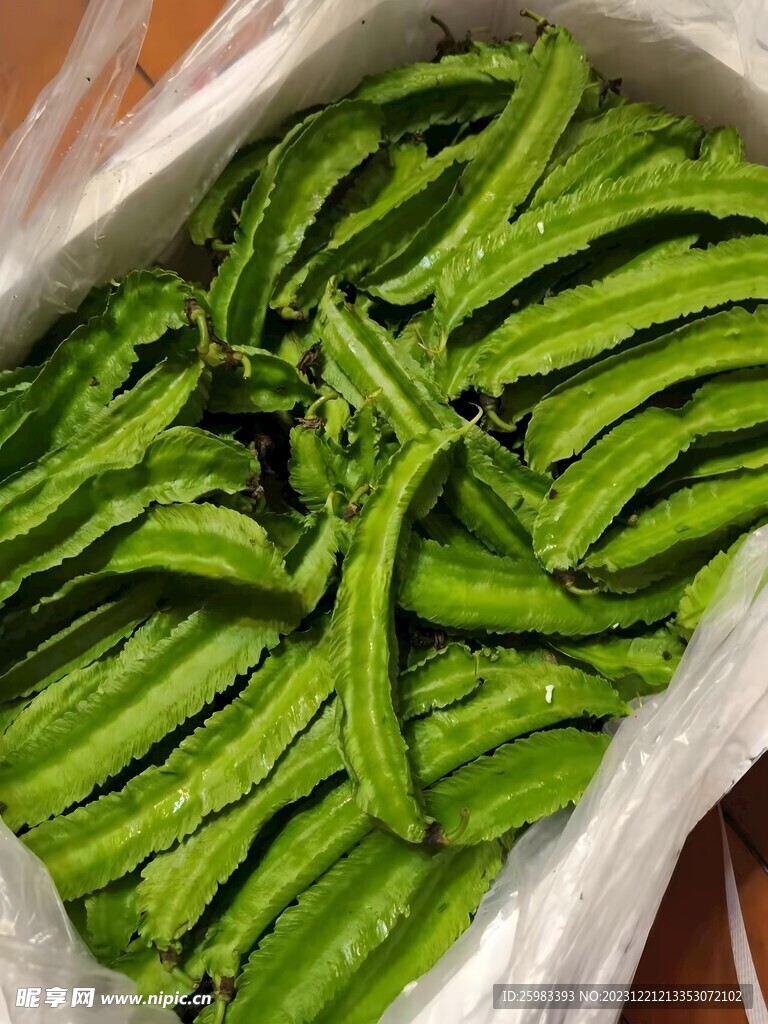 海南四角豆 