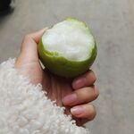 青枣 
