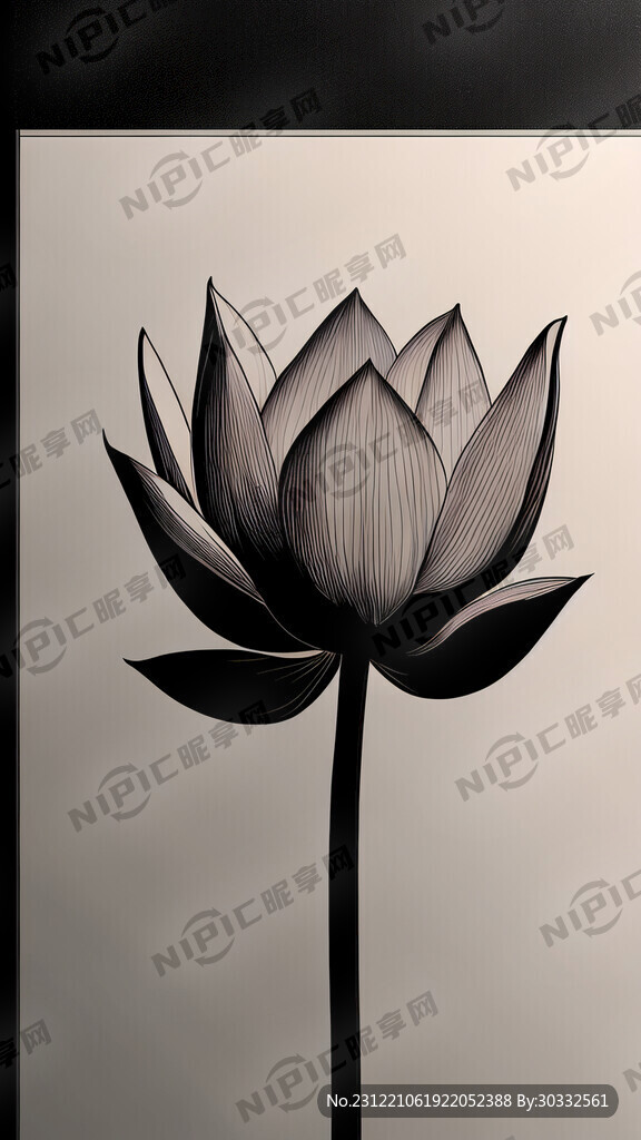 一支荷花 简单 完整 线描