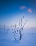 雪地
