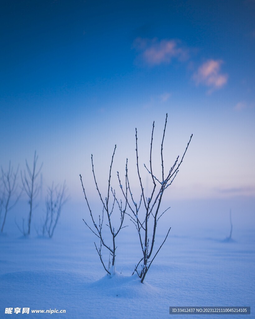 雪地