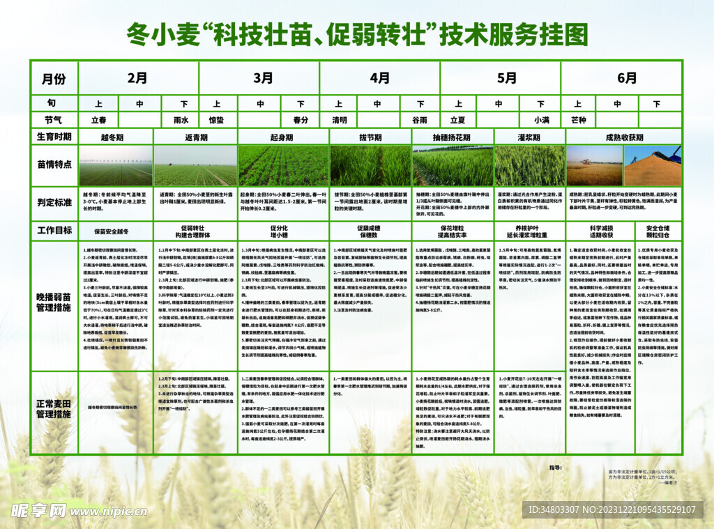 冬小麦促壮挂图