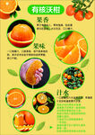 沃柑