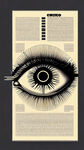 眼部结构图，眼部标识线，三庭五眼标识