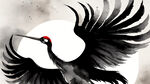 丹顶鹤，翅膀，平面图，正射图，设计图，黑白