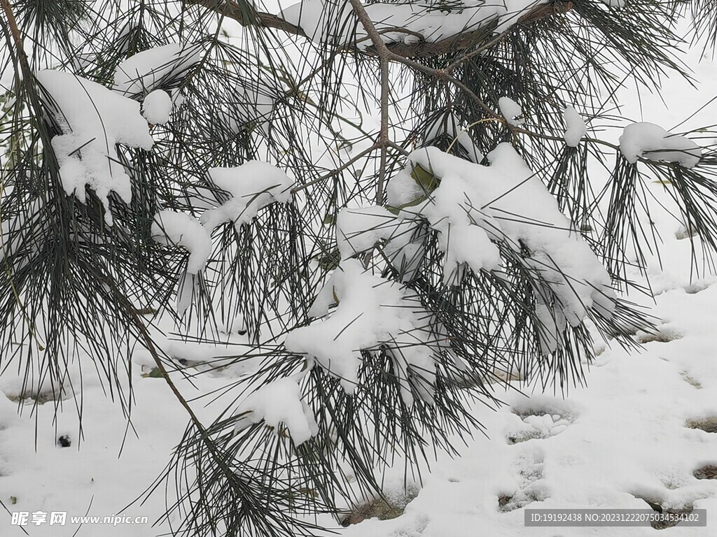 冬雪风景  