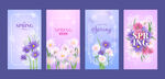 春季卡片 花卉背景