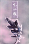 小寒节气