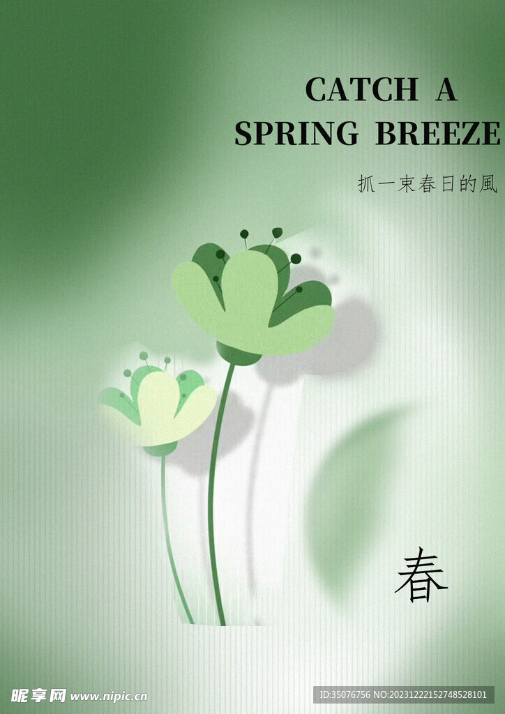 抓一束春日的風