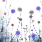 水彩花卉紫色花卉挂画装饰画
