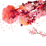 水彩花卉花枝水墨挂画装饰画