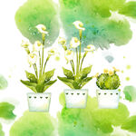 绿植喇叭花盆栽挂画装饰画