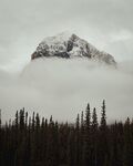 云雾森林雪山山峰