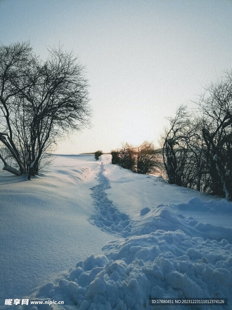 丛林
