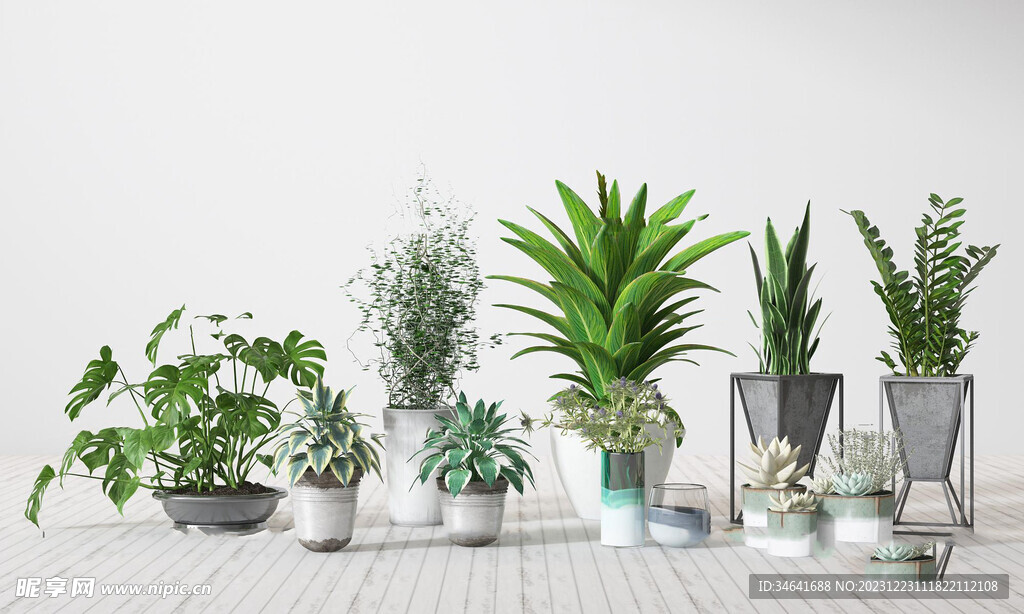 现代绿色植物盆栽组合3D模