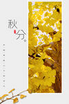 秋分 秋天海报