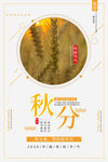 秋分 秋天海报