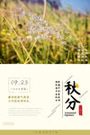秋分 秋天海报