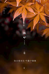 秋分 秋天海报