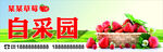 草莓自采