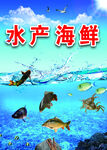 海鲜水产