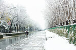 雪景