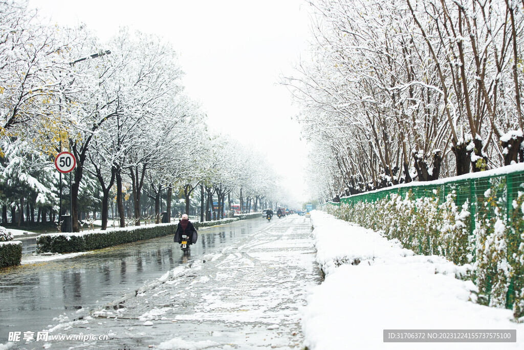 雪景