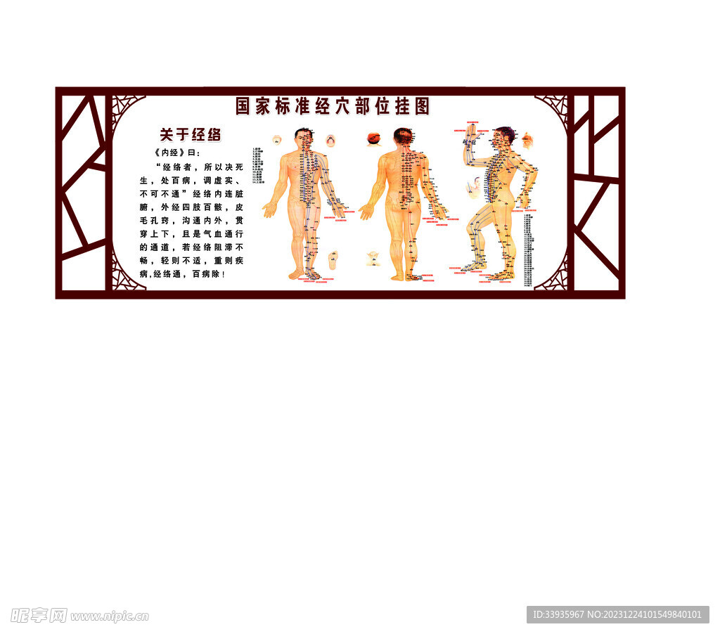 经络图