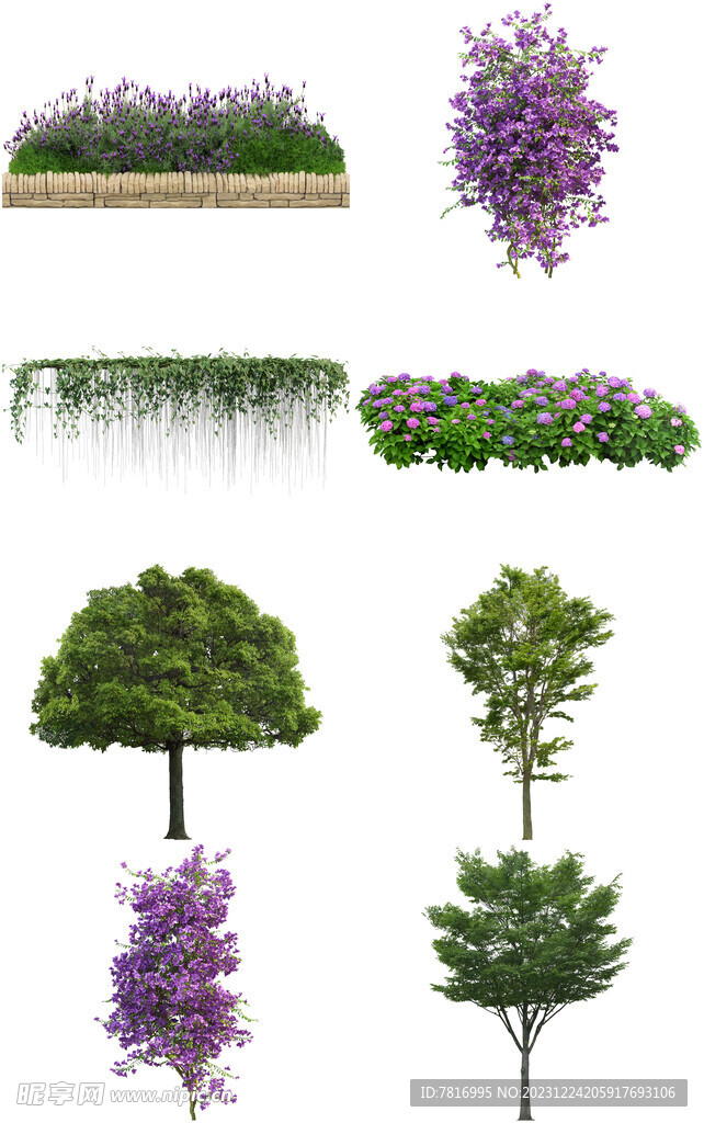 园林花草树木