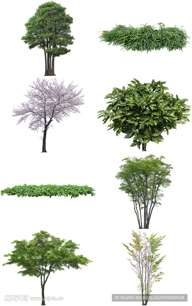 树木素材