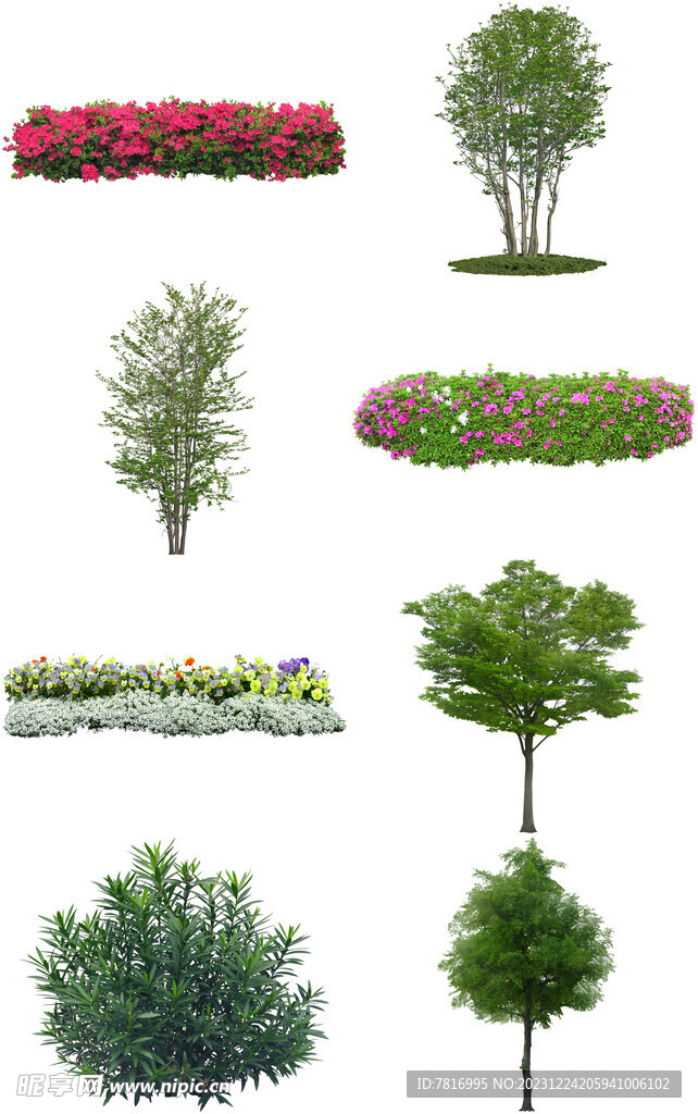 树木花草
