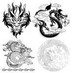 龙