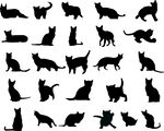 猫剪影